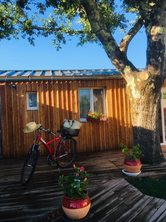 Les Petits Chalets De Kzo La Teste-de-Buch Dış mekan fotoğraf