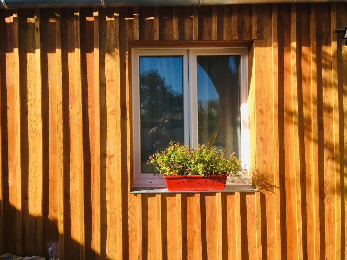 Les Petits Chalets De Kzo La Teste-de-Buch Dış mekan fotoğraf