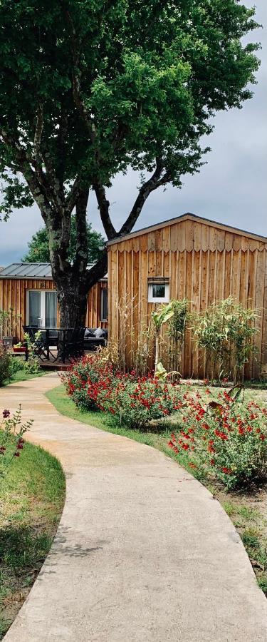 Les Petits Chalets De Kzo La Teste-de-Buch Dış mekan fotoğraf